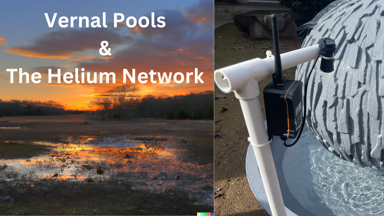 How To Measure Endangered Vernal Pool Depth Using The Helium Network